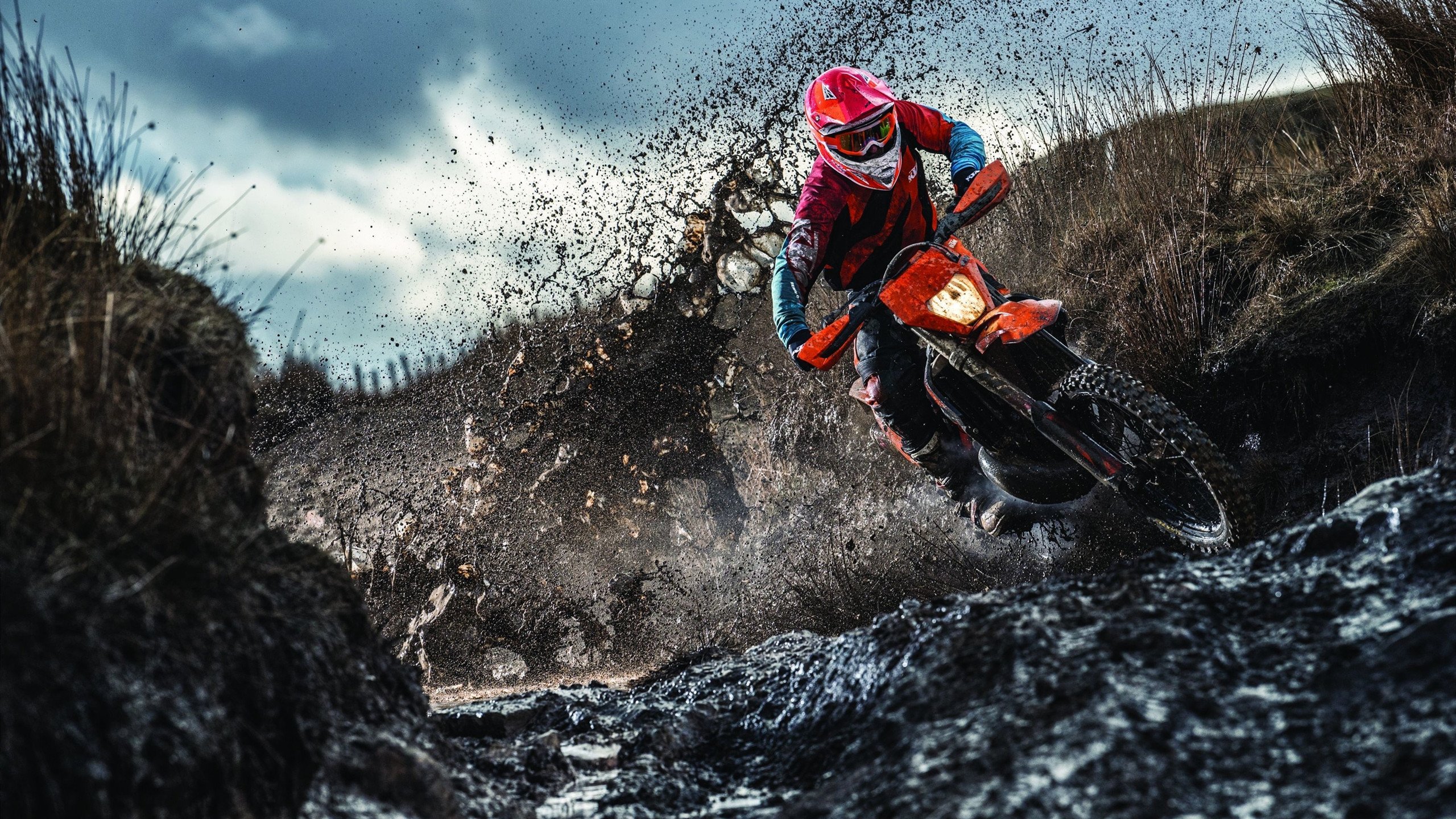 世界杯之夜,本泽马关键制胜,美加墨见证历史时刻